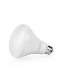 Asgens 75W Equivalent BR30 LED Light Bulbs, 800 Lumens, 5000K Daylight White, E26, Non-dimmable, ...